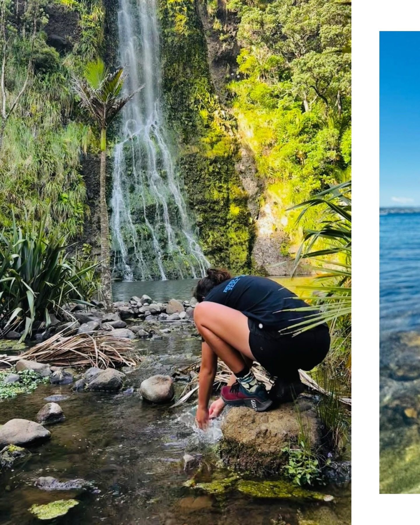 We&rsquo;ve loved seeing our amazing Green School whānau out and about this summer break ☀️From ticking off those scenic walks &amp; trails to travels as far as the Northern Hemisphere, our community has truly embraced the season.

This summer has be