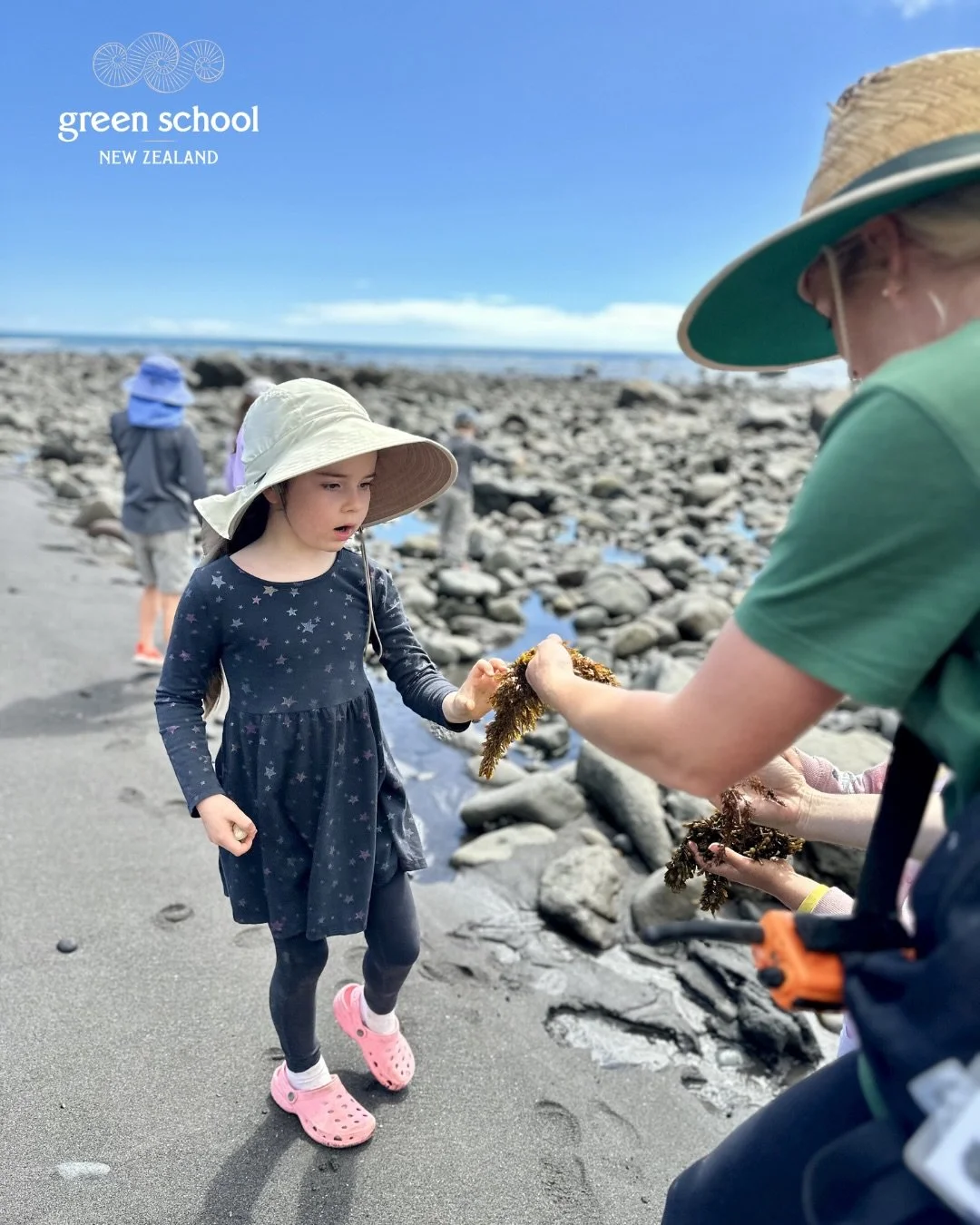 Learning Beyond the Classroom 🌿
This week our Primary learners ventured out on a field trip to the local rock pools, where curiosity led the way. The children carefully observed, explored, and classified the many species they discovered, completely 