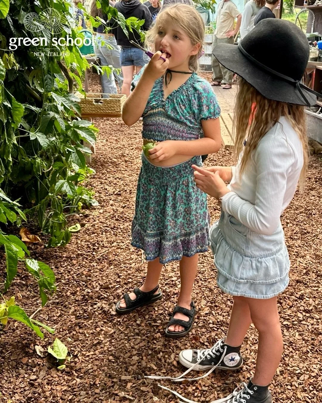 Every week, &lsquo;Auahatia&rsquo; is a highlight for our learners, a Monday afternoon dedicated to hands-on, project-based learning through creativity, curiosity, and play.

Welcoming back @yourhomenaturallynz who opened our eyes to the reality of 