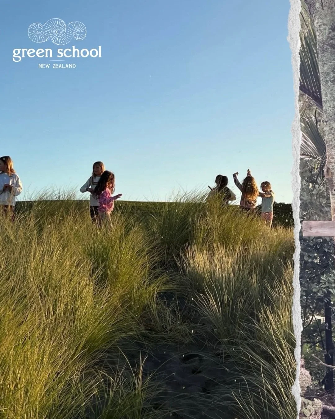 Checking in with some of the incredible @greenschoolnz families 🌿✨&nbsp;From backyard and beach playdate hangs to, fish &amp; chips outdoor adventures, bonfires on the beach ~everyday moments of connection, our community are all about exploring, con