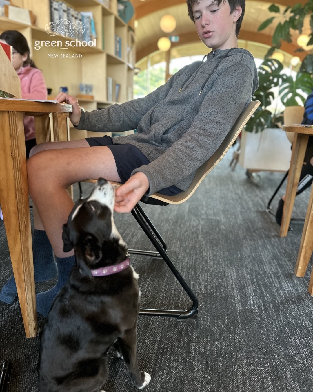 A huge thank you to the @taranakiregionalcouncil for spending time with us (&amp; our favourite Wellness dog, 🐾 Socks!) to create beautiful beeswax wraps.
With a &lsquo;not-so-secret&rsquo; mix of resin, beeswax, and a touch of &lsquo;not-so-essenti
