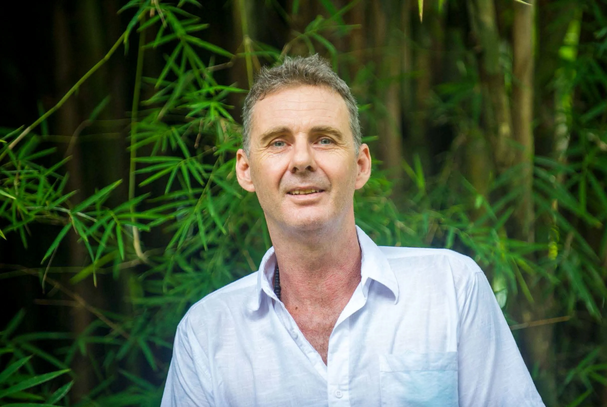 Sal Bamboo Background.jpg