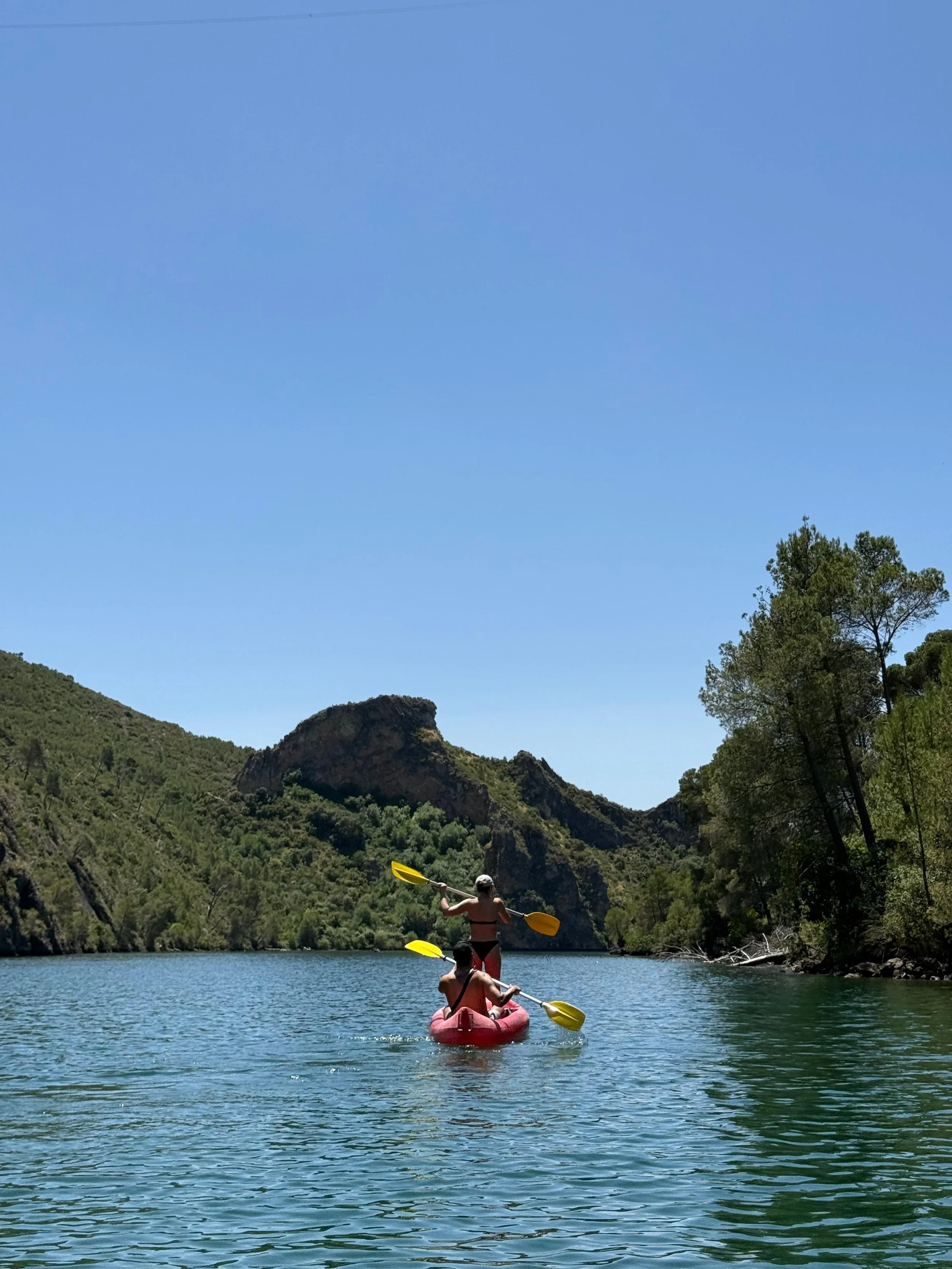 WhatsApp Image 2026-03-30 at 4.55.47 PM (5).jpeg