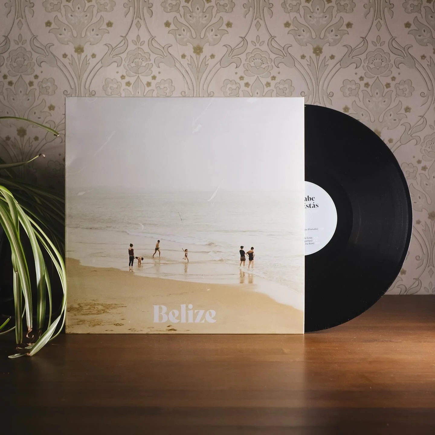 Crear sin prisa, cuidar cada paso.
As&iacute; nace la edici&oacute;n en vinilo de &ldquo;Nadie Sabe D&oacute;nde Est&aacute;s&rdquo;.
Un regreso pausado, hecho con las manos y el coraz&oacute;n.

Sale el 23 de mayo.
Mientras tanto, ya se puede preres