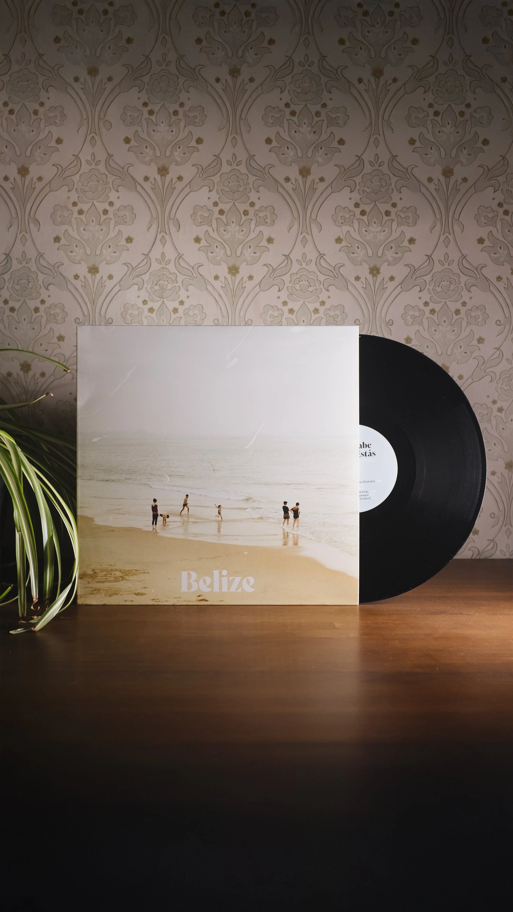 Álbum-NSDE-Vynil-Release-1.jpg