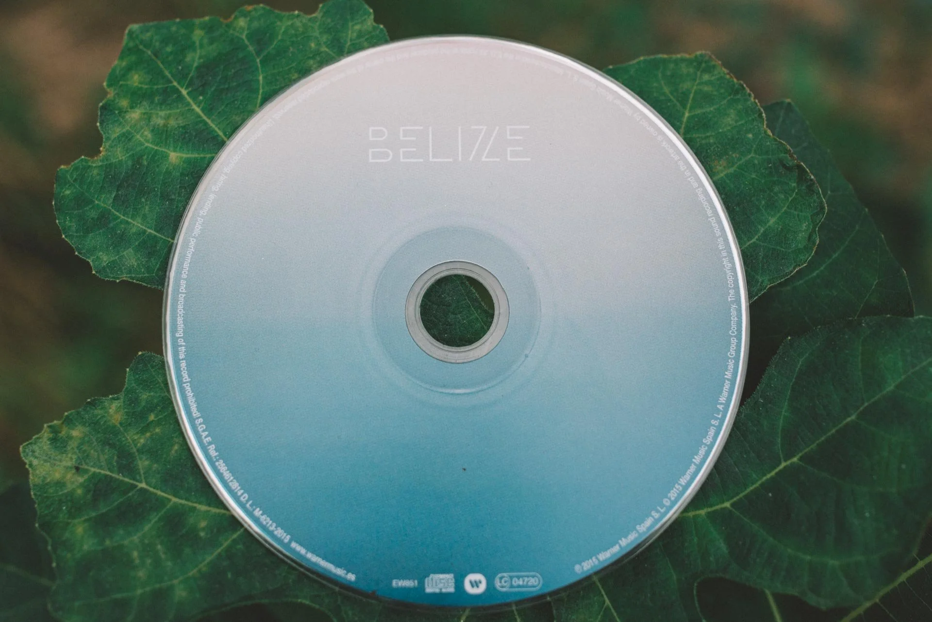 Belize-Estreno-Disco-16.jpg