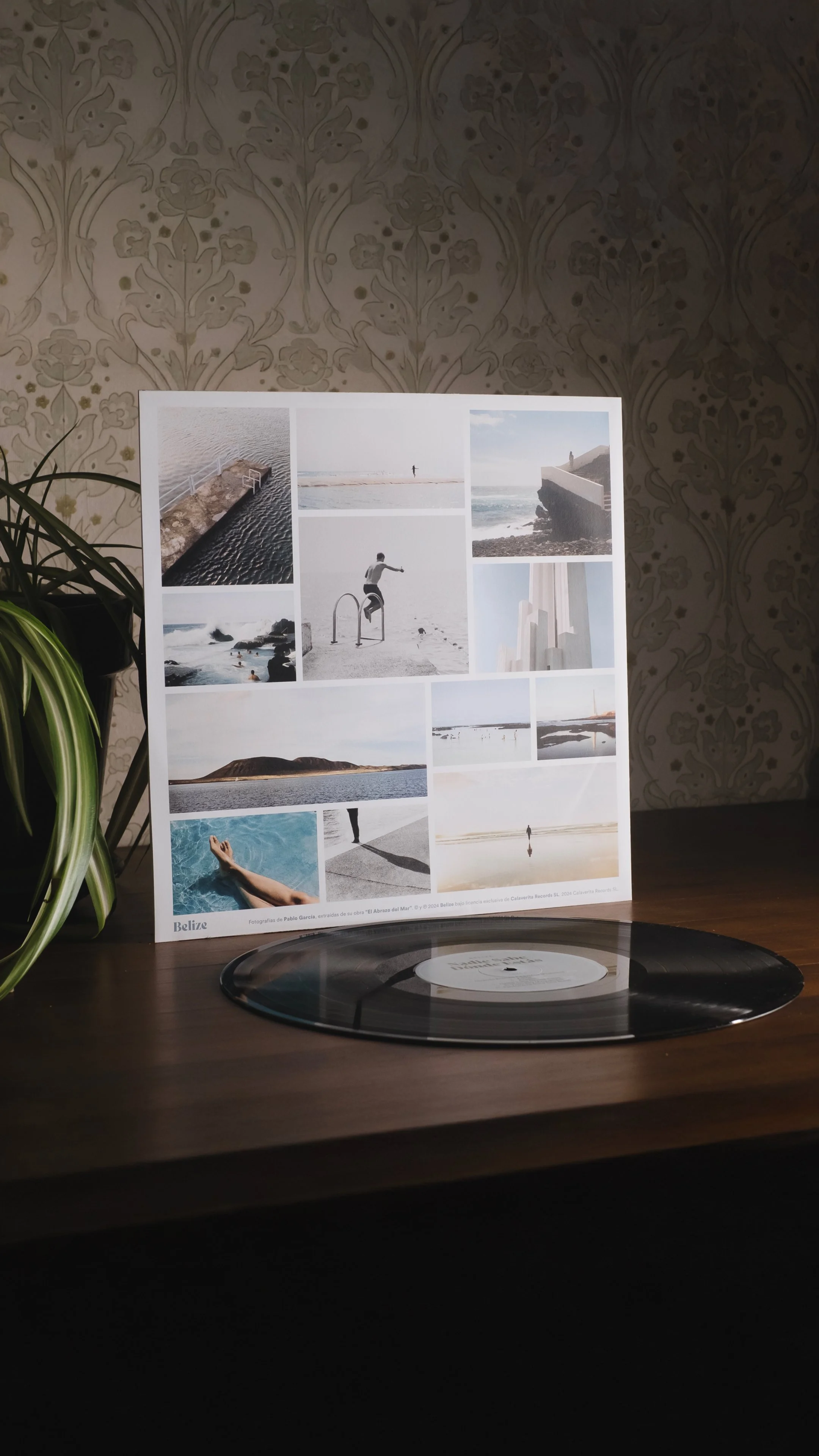 Álbum-NSDE-Vynil-Release-3.jpg