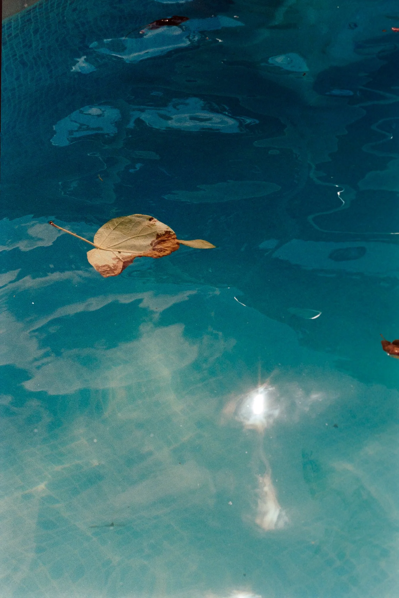LP2-82.jpg