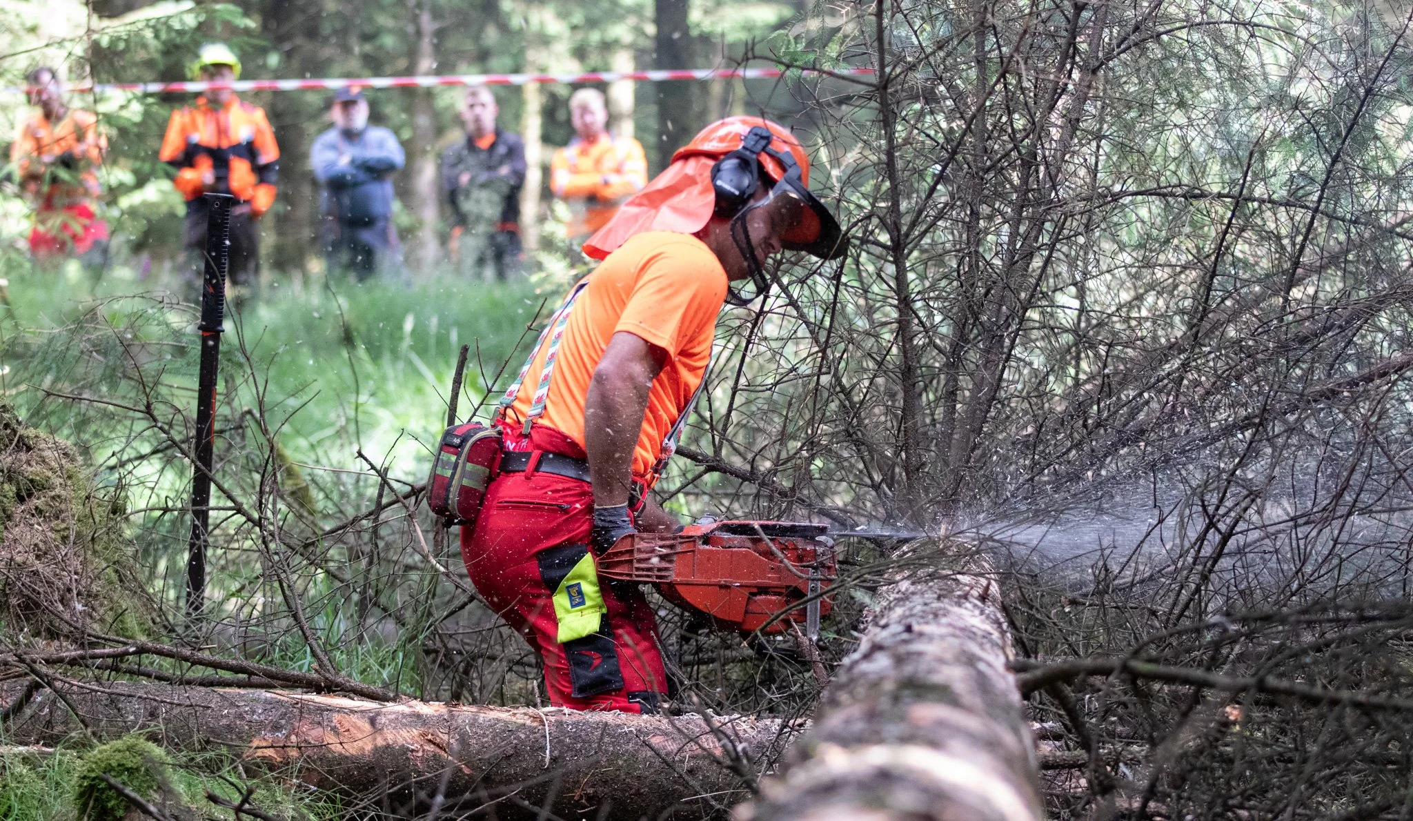 Training Courses — Focus on Forestry First