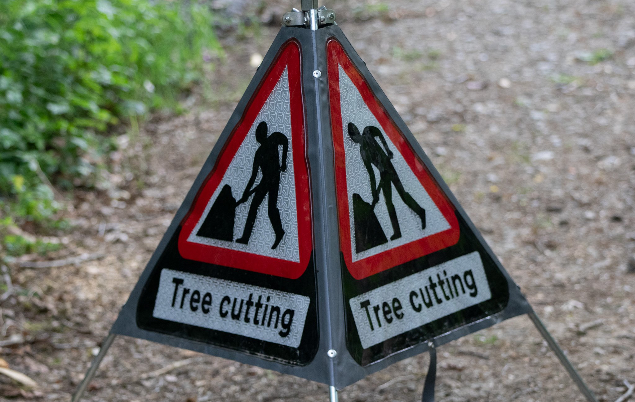 Risk Assessment and Emergency Planning (Webinar)