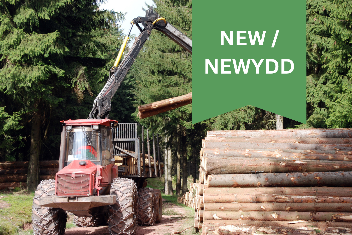 Forestry Learning &amp; Development 2026