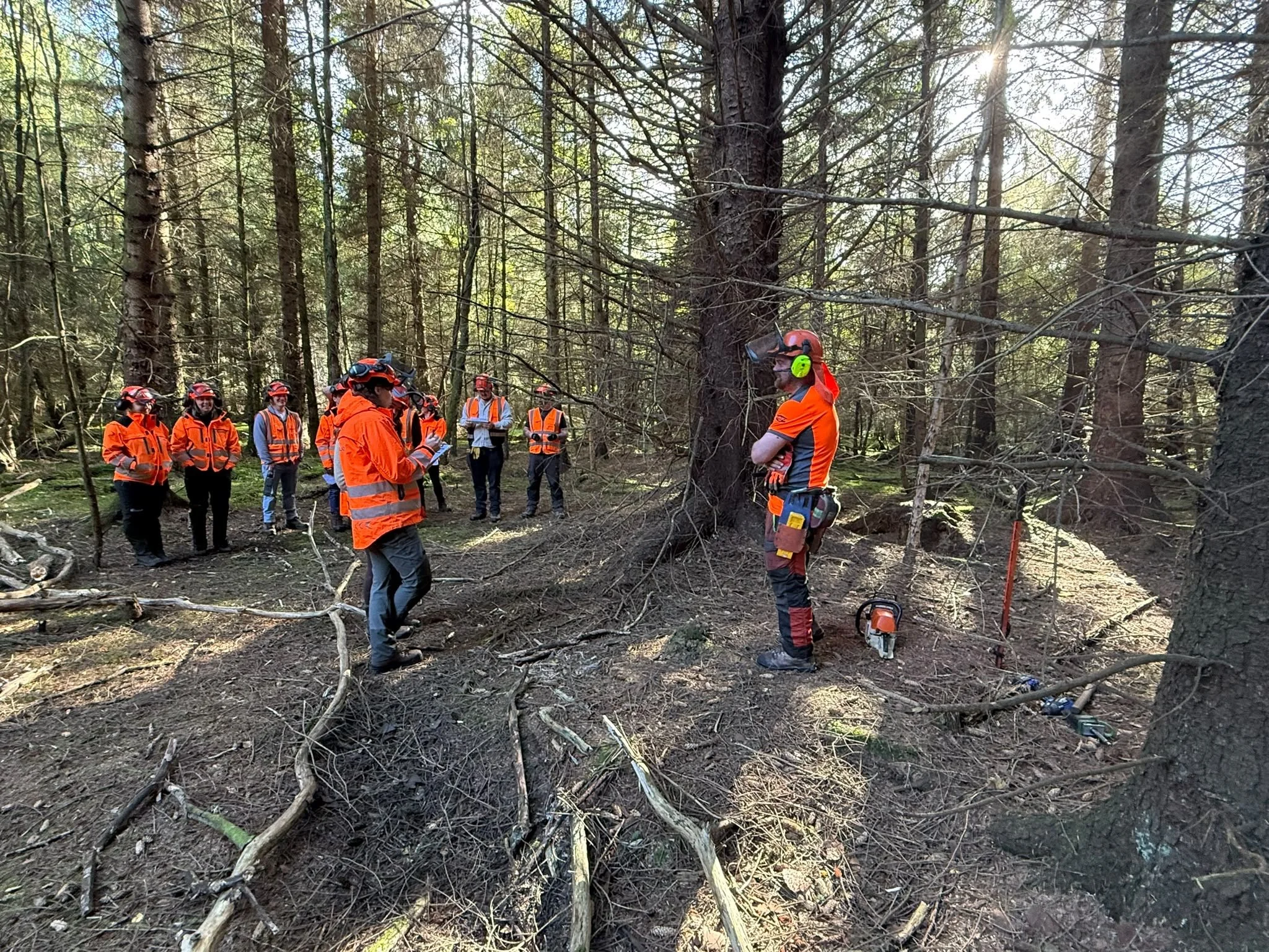 Delivering Chainsaw Operations for Supervisors and Managers to Scottish Woodlands!