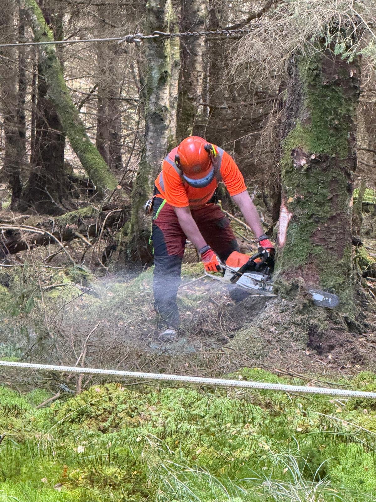 Forestry Safety Event - Wales