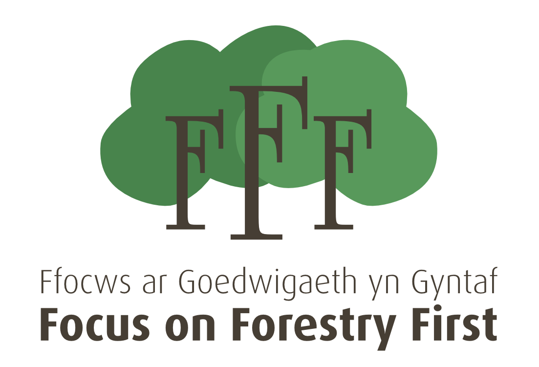 Focus on Forestry First