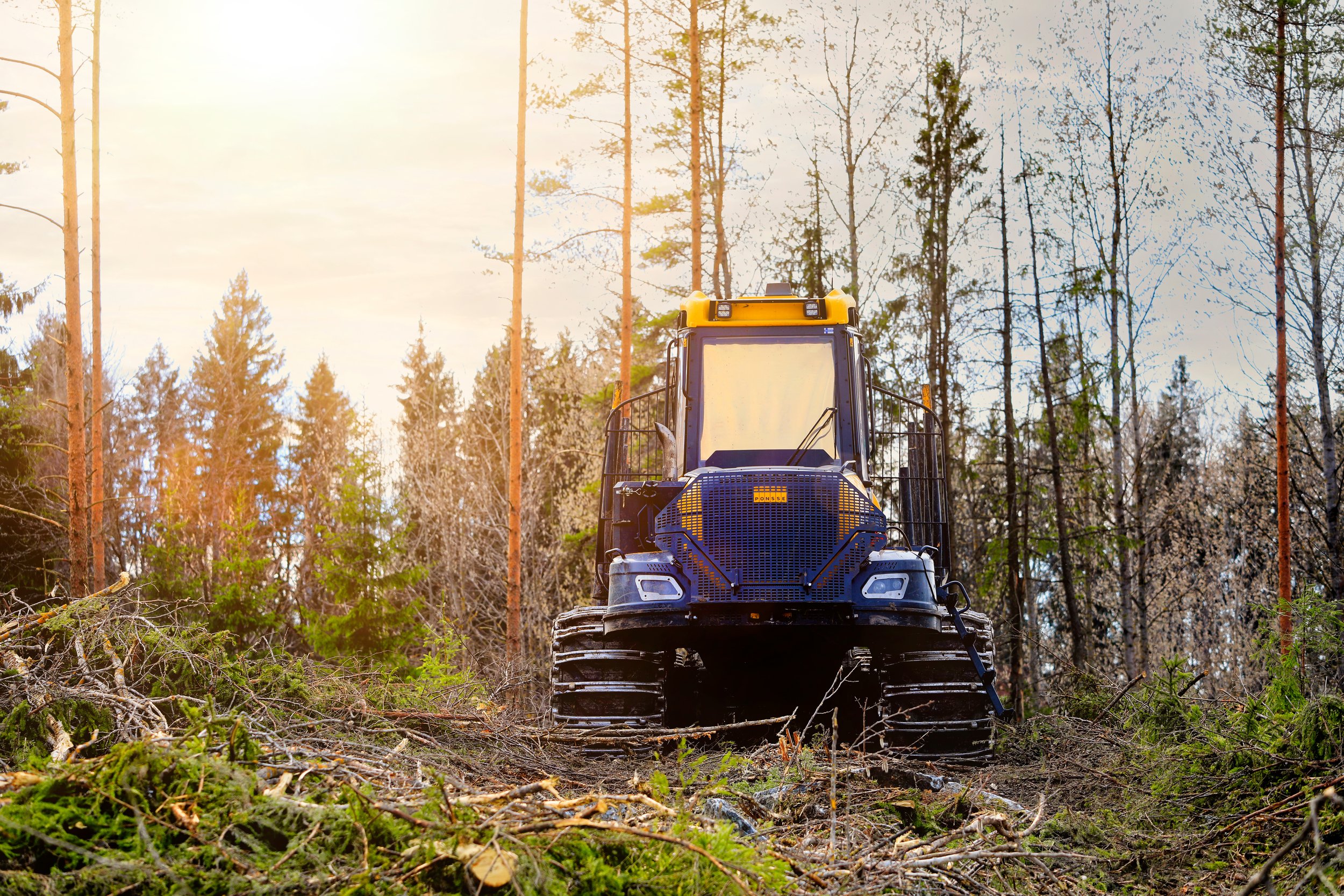 Mechanised Harvesting for Supervisors and Managers (Harvester Forwarder) - FULLY BOOKED!