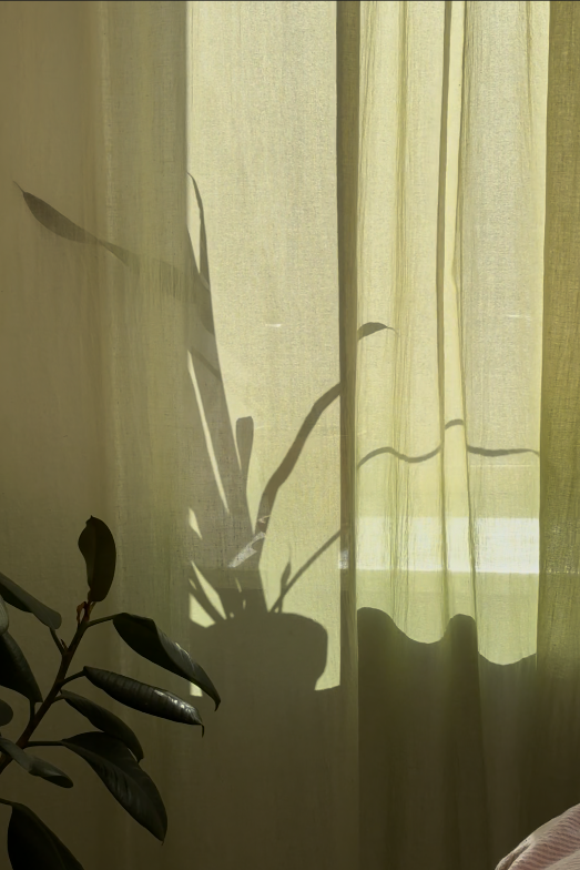 Screenshot 2026-03-05 175257.png