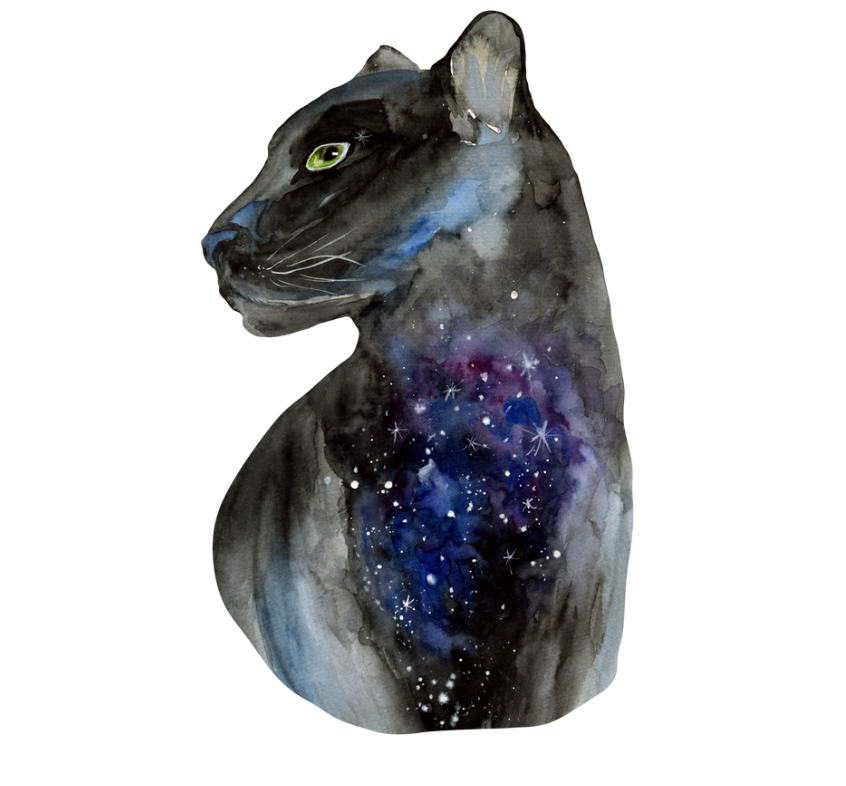 Signification spirituelle et symbolismes de la panthère.