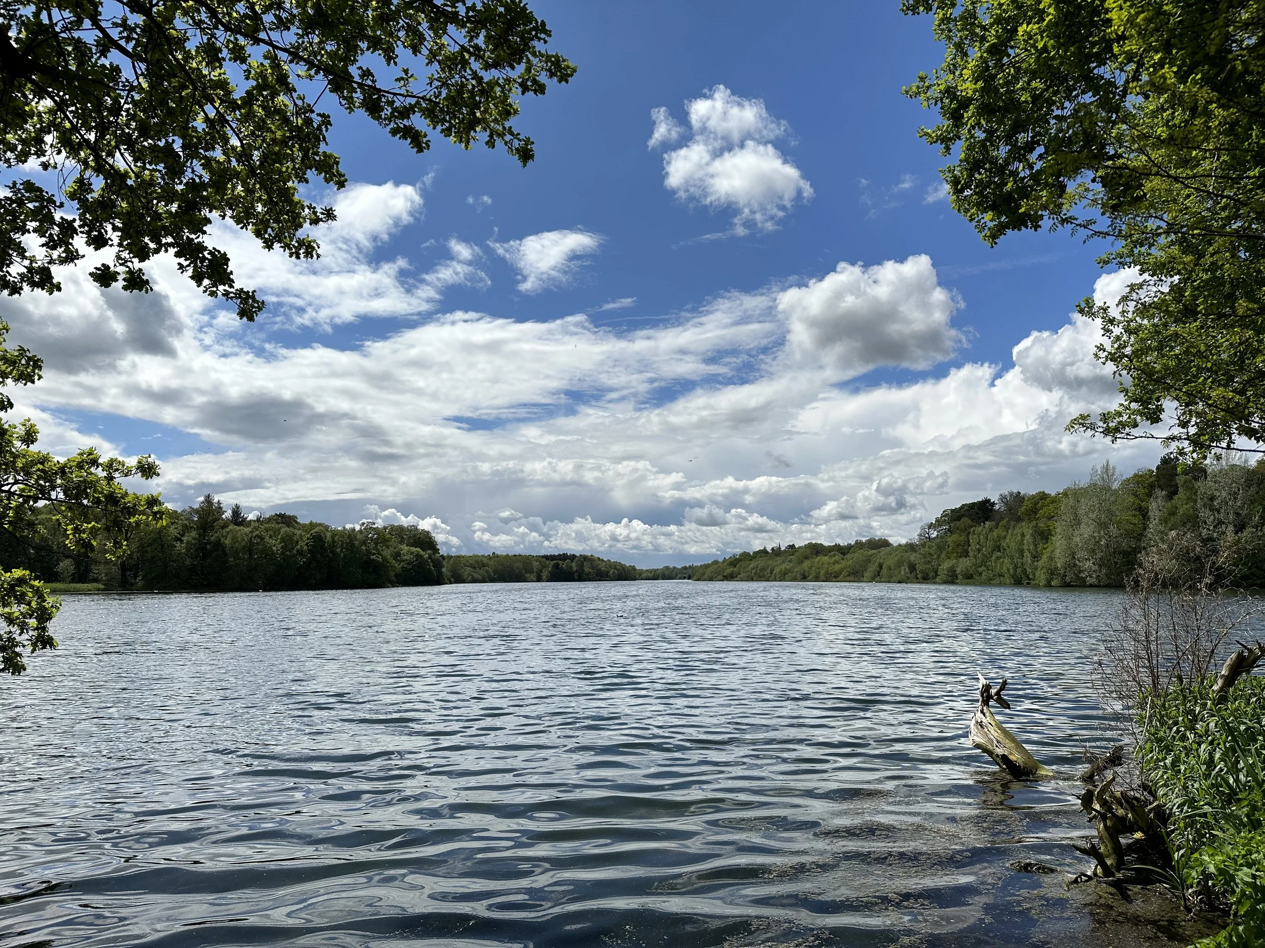 Clumber Park Angling