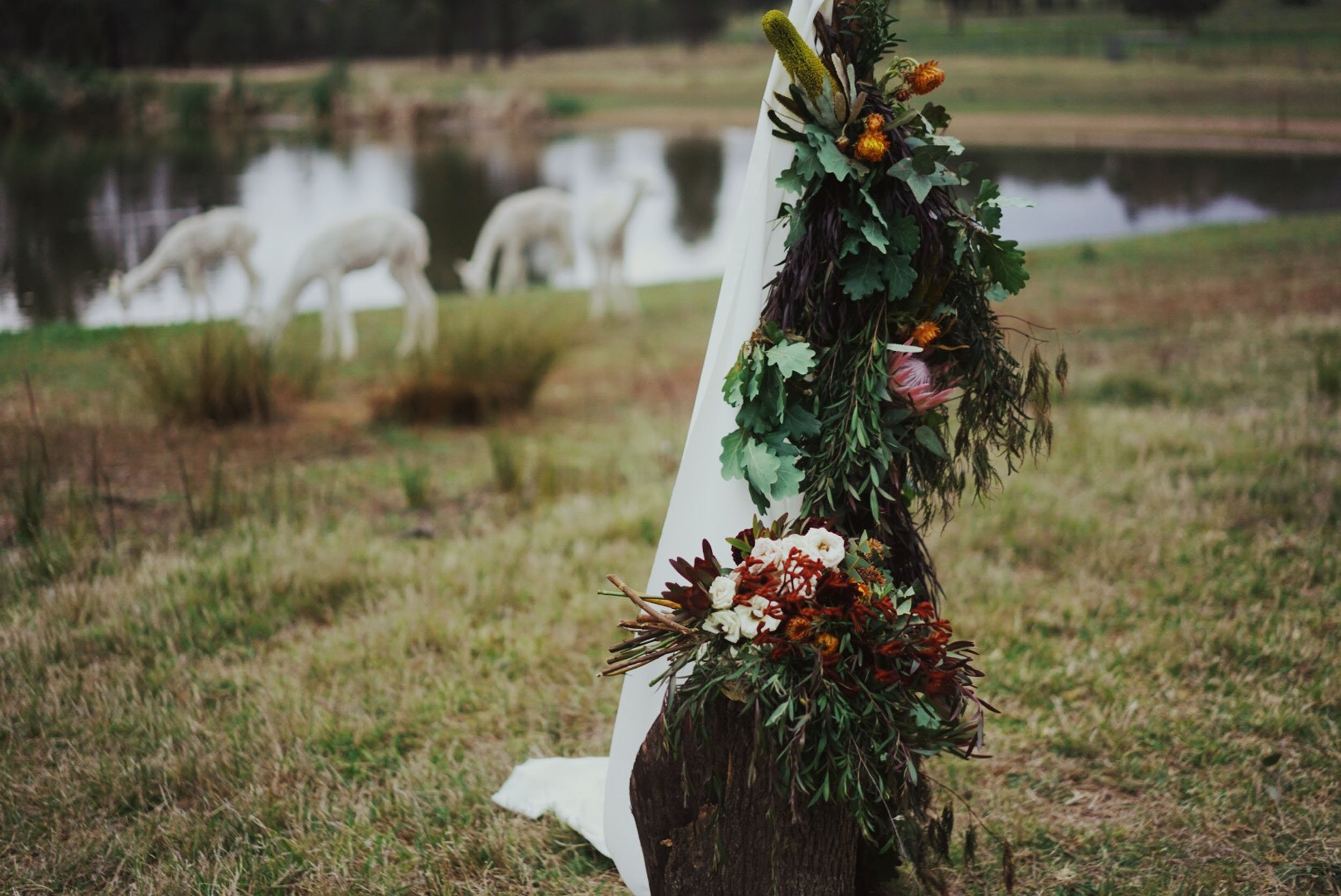 Rustic Country wedding at Starline Alpaca Farm - Wedding Ceremony styling 