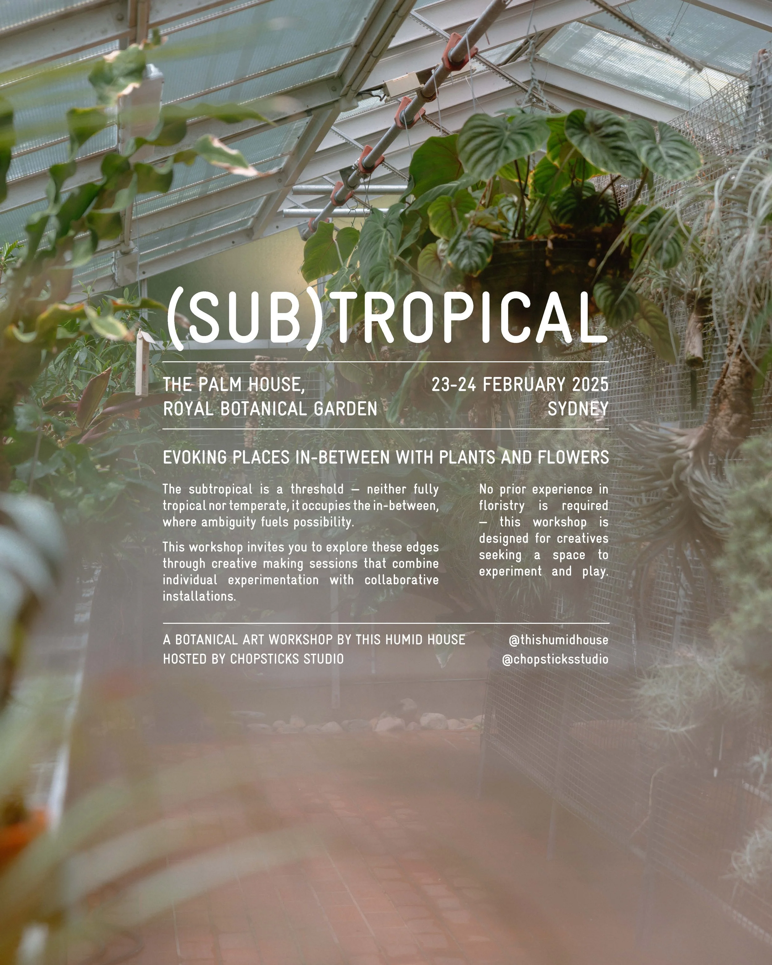 SUBTROPICAL_LOWRES_3.jpg