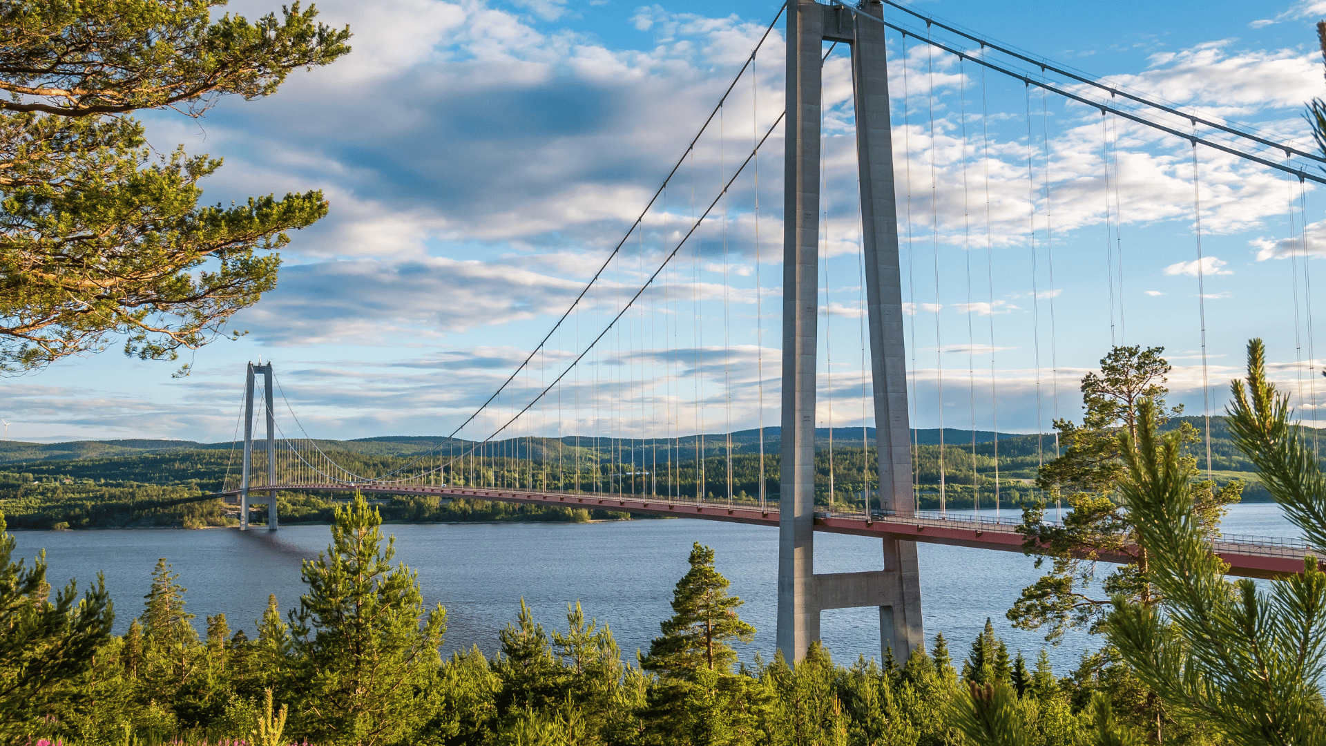 Machtech Academy i blickfånget på SVT nyheter