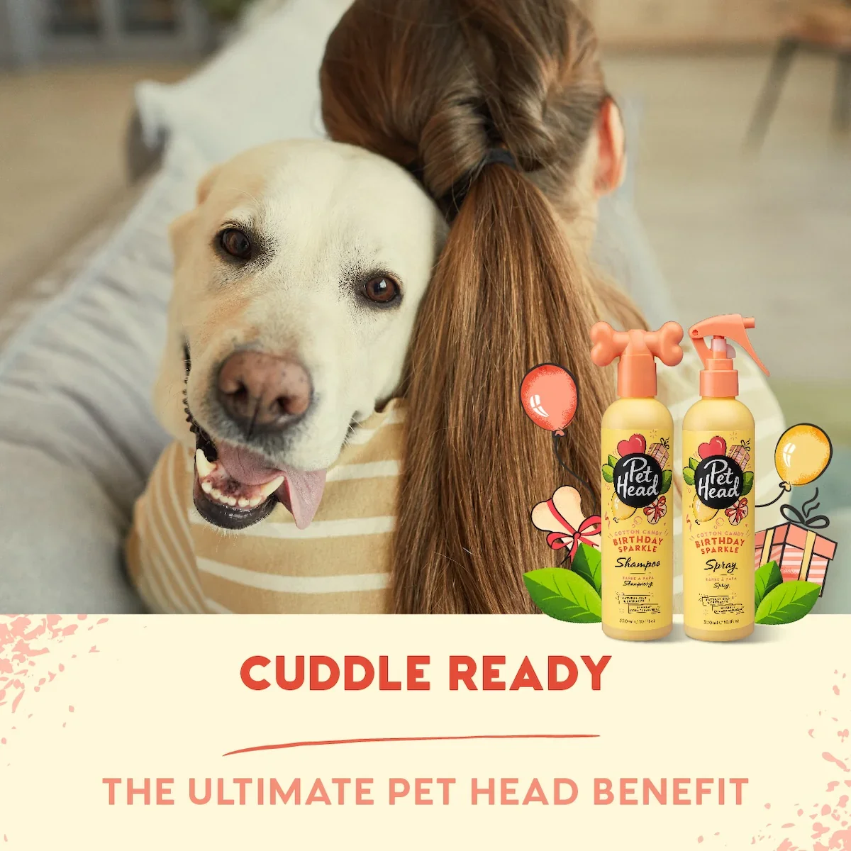 pet headdd.webp