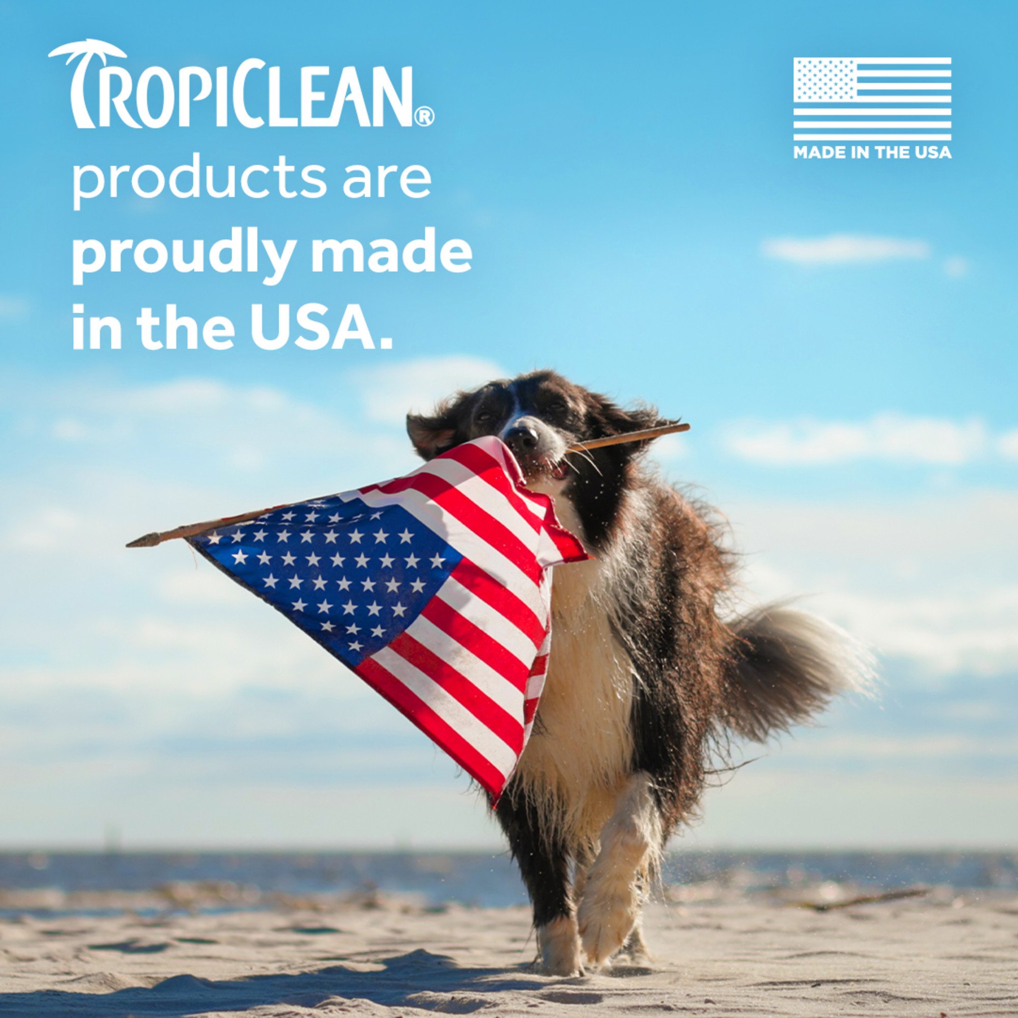 Tropiclean kiwi cocoa butter 6.jpg