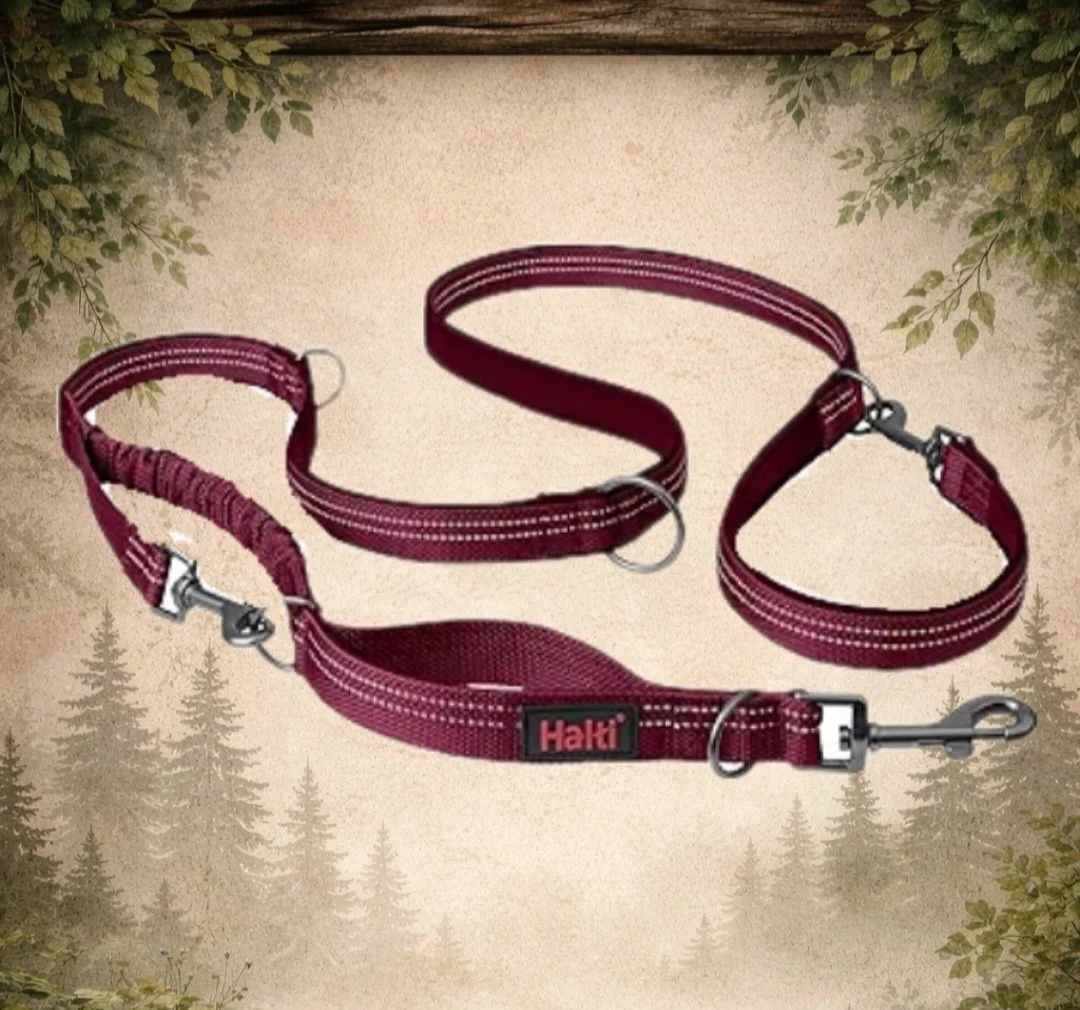 halti leash magenta.jpg