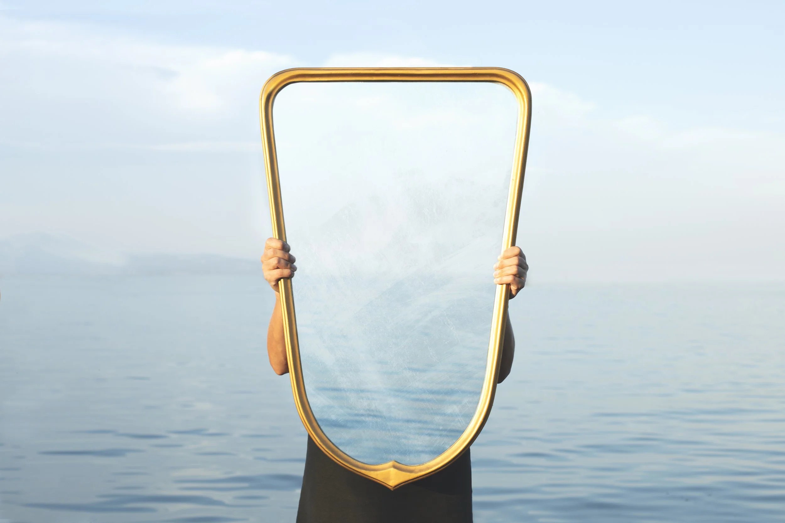 The Leadership Mirror