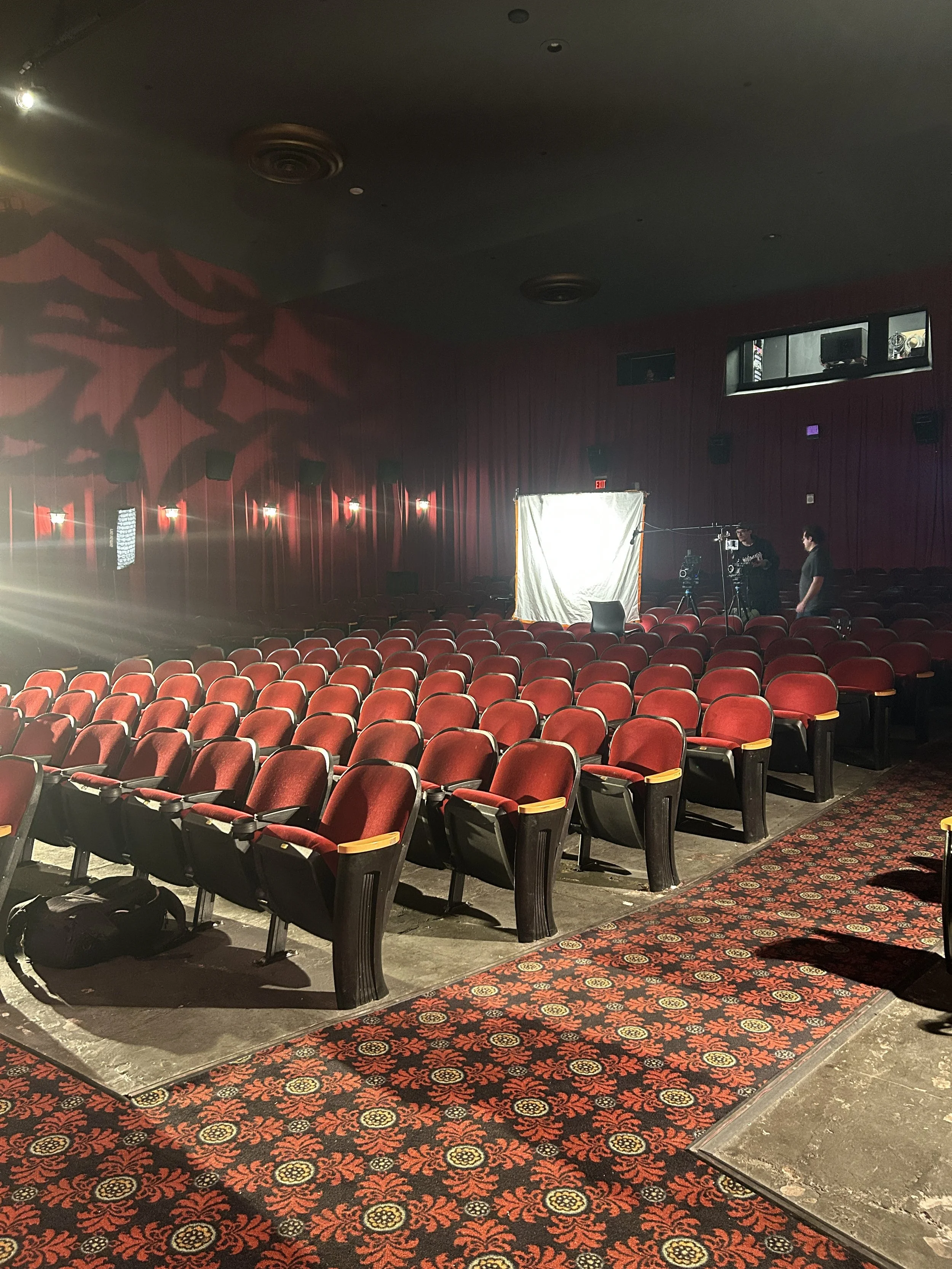 Belcourt_Theatre_FilmFrog_Faces_of_Exhibition.JPG