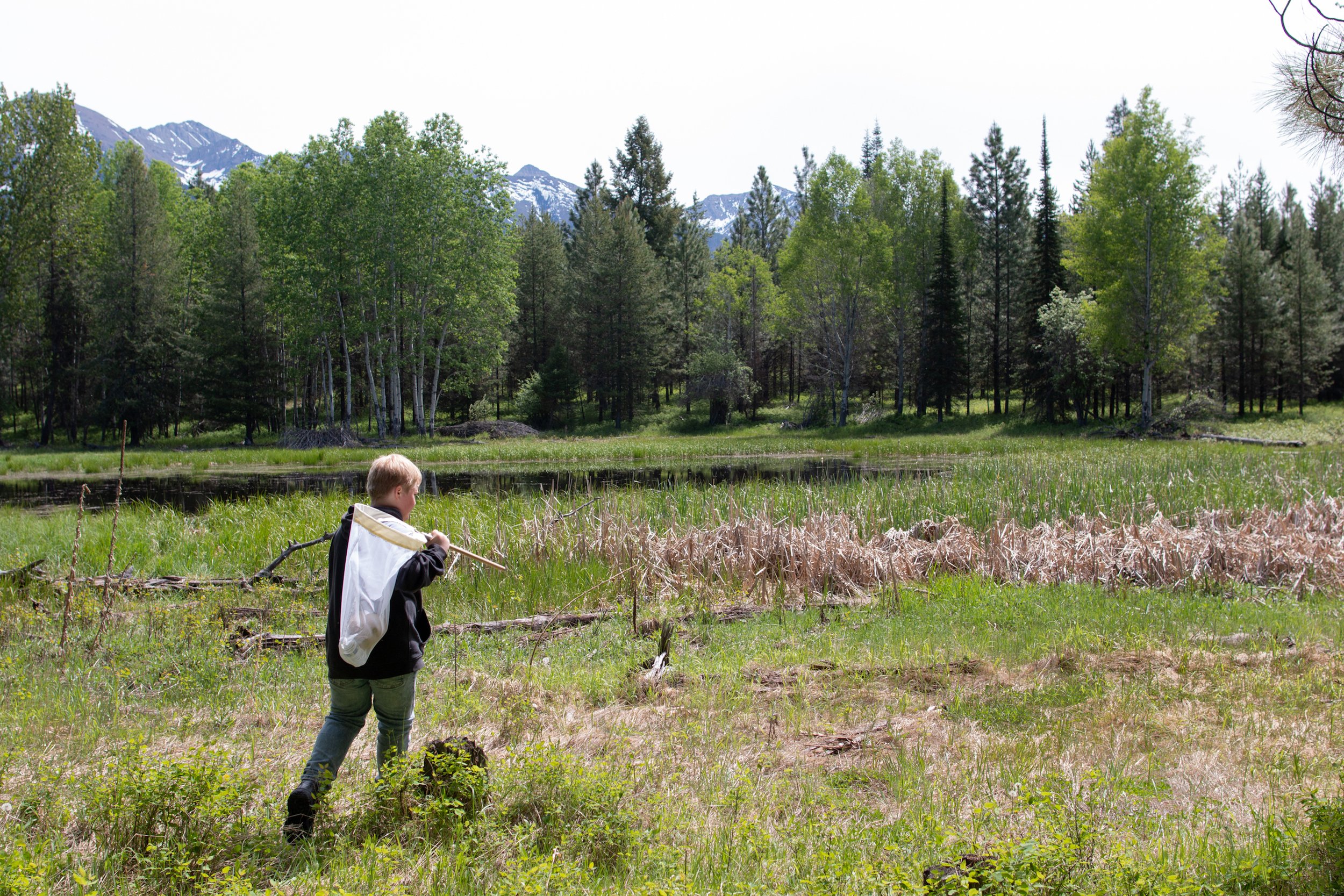  Bigfork Elementary 5th grader exploring a wetland on Forest Service land adjacent to the SLF property 