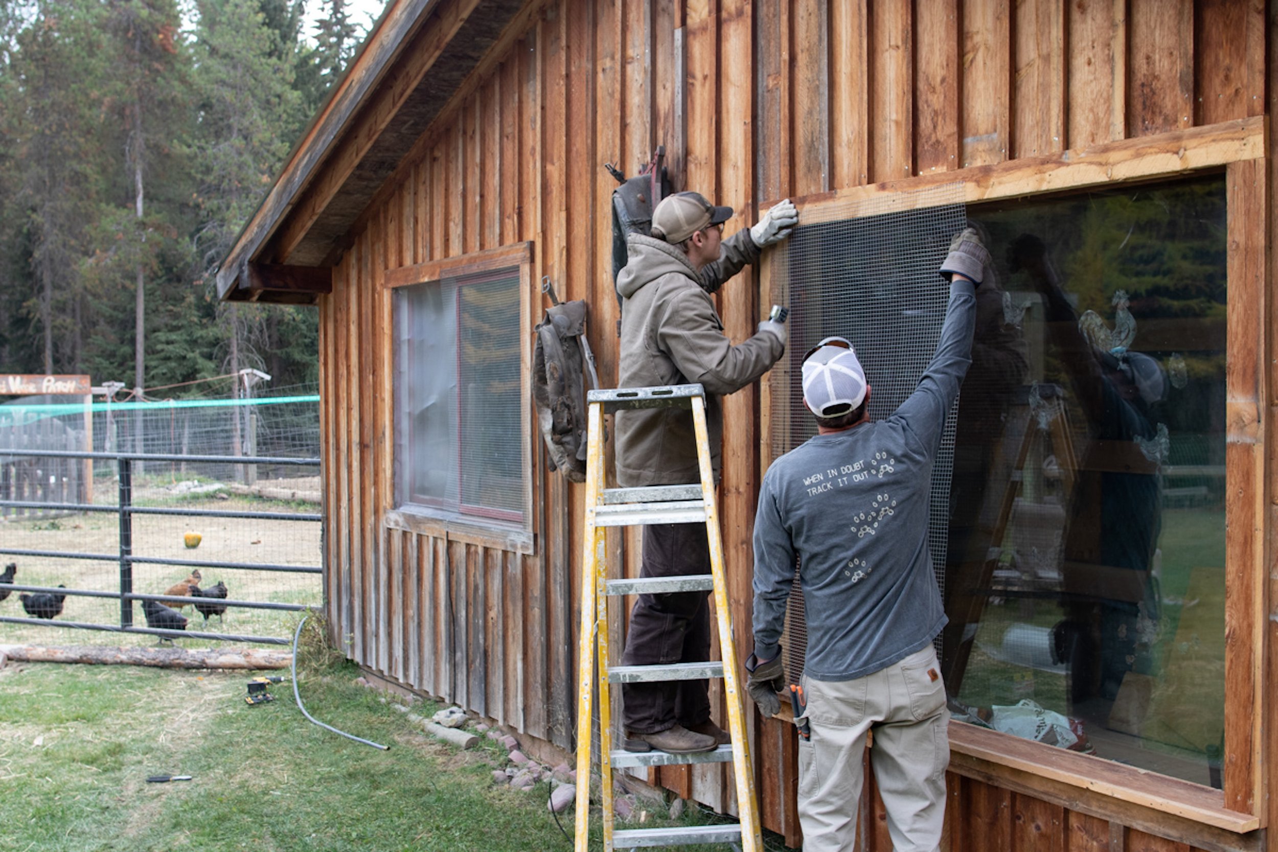  Installing electric fencing to protect chickens and grain shed 