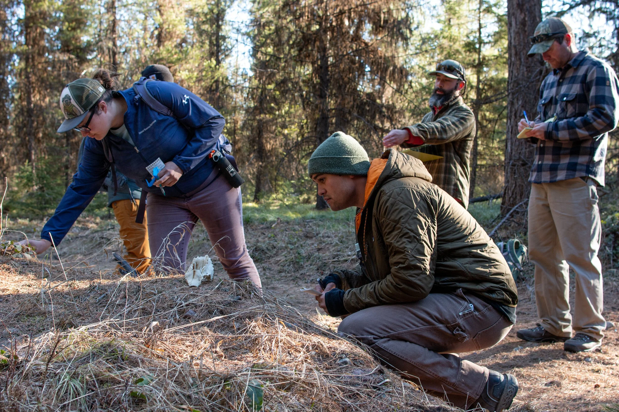 Wildlife Tracks & Sign Standard Certification