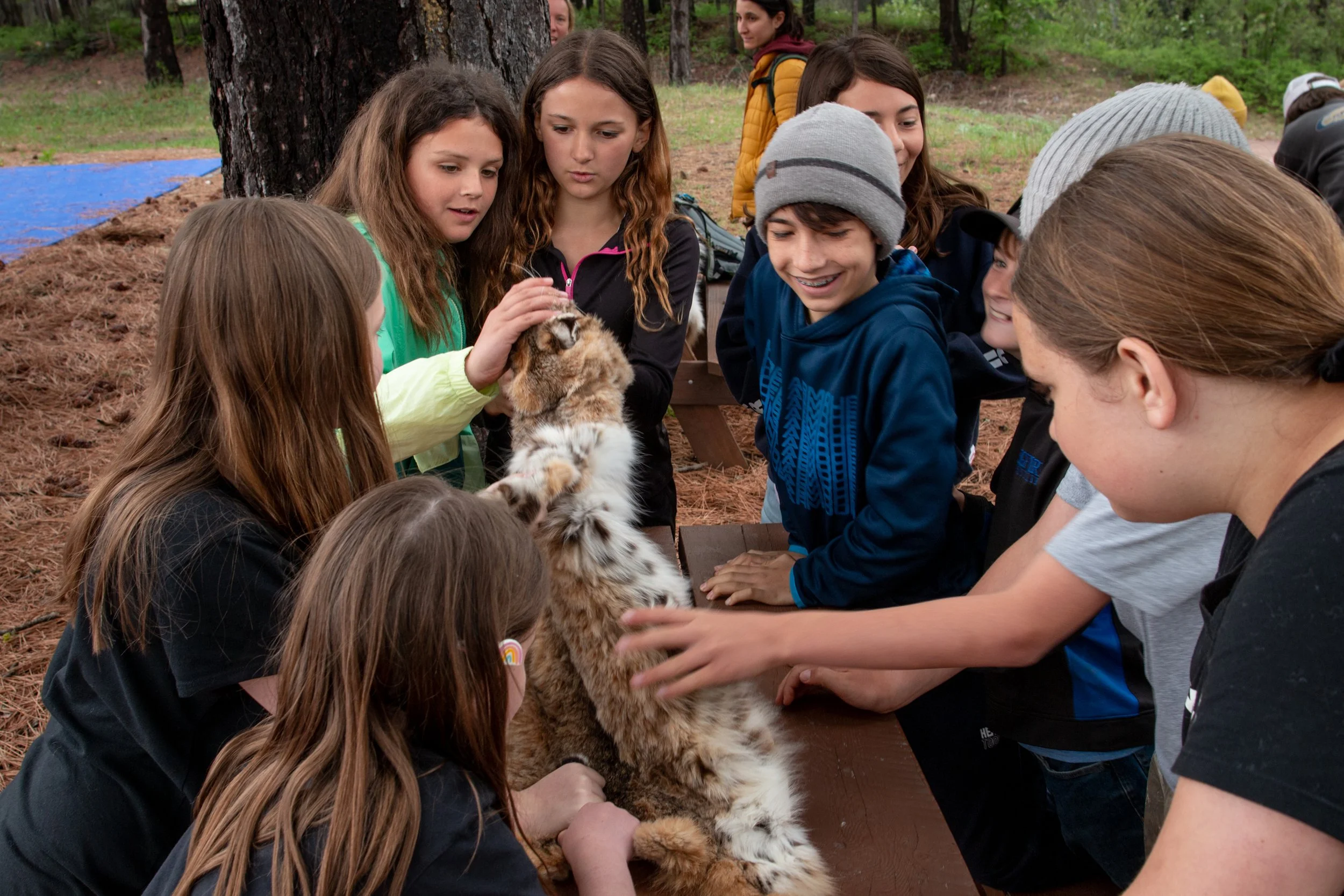 Bigfork Elementary 5th Grade Campout