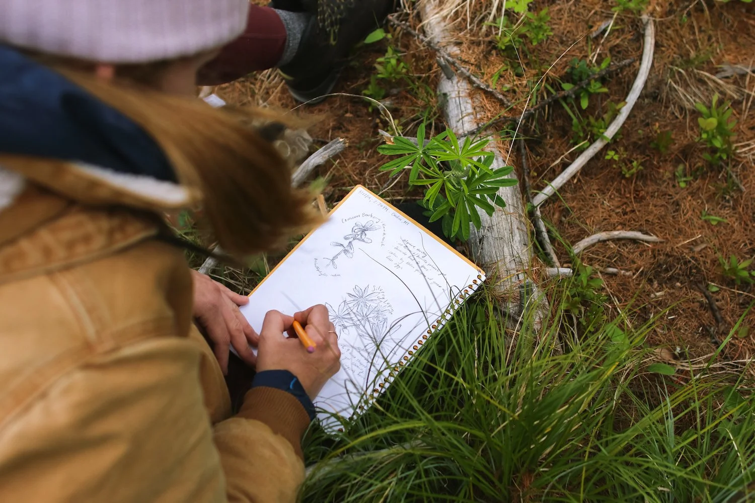 *CANCELED* Weekend Warrior Master Naturalist (1 of 4)