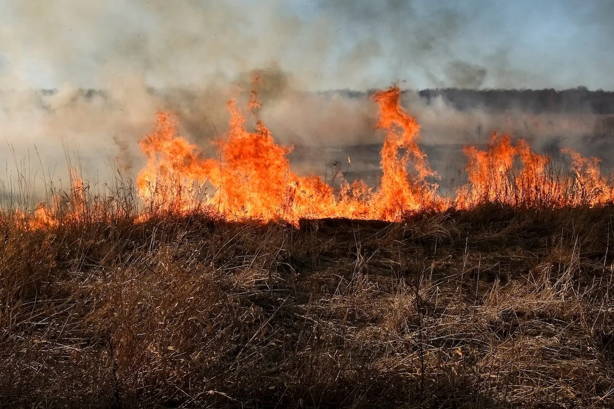 Firesafe Swan Public Meeting