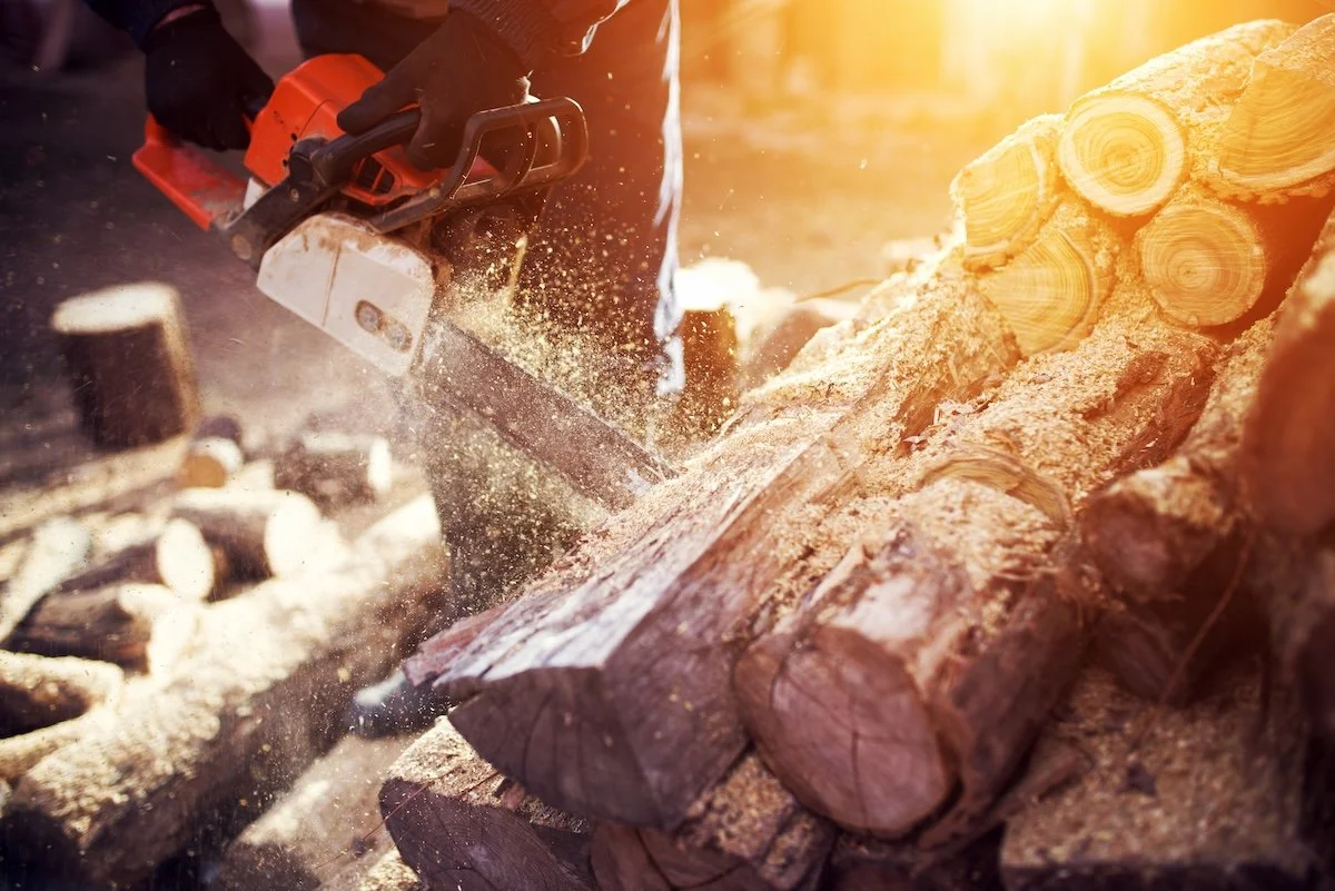 Chainsaw 101 Workshop