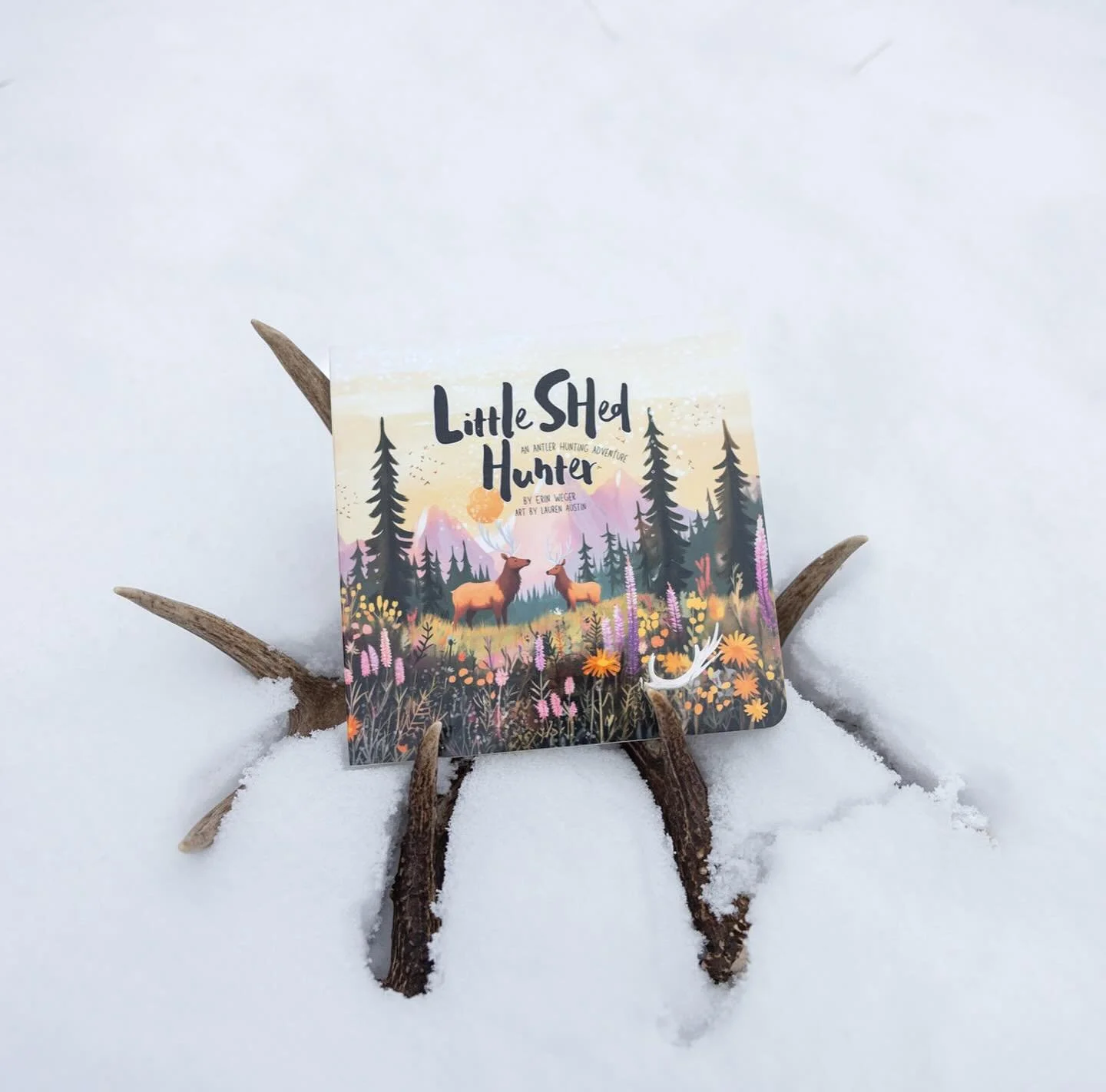 Need a gift for an outdoorsy little one in your life? We just added the brand new @littleburrbooks Little Shed Hunter to the shop (and a restock of the Little Tracker book🐾).

Shopping with us is one way you can support conservation and the wildlife