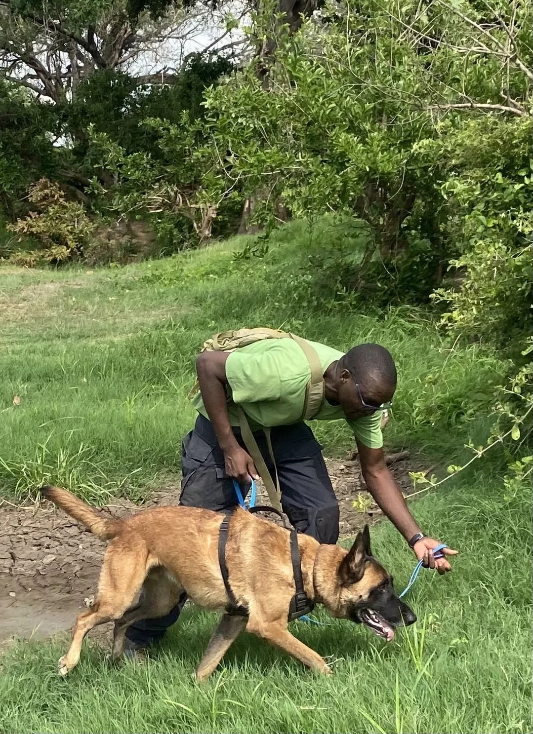 Quarterly Potluck & Presentation: Detection Dogs for Conservation