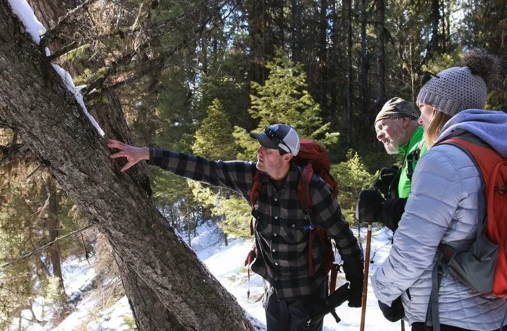 Looking for a last-minute adventure to kick off the new year? We&rsquo;ve still got ONE (lucky) spot left in our weeklong Wildlife Tracks &amp; Sign course and certification starting January 2nd!

There&rsquo;s finally some snow in the valley, and ou