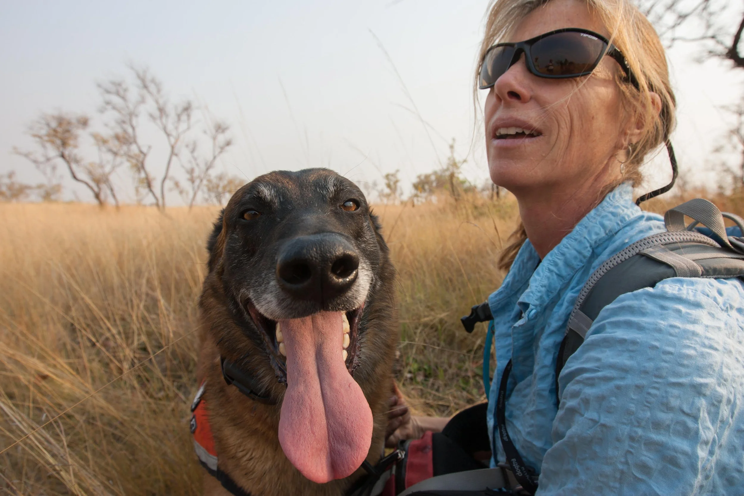 Quarterly Potluck & Presentation: Detection Dogs for Conservation
