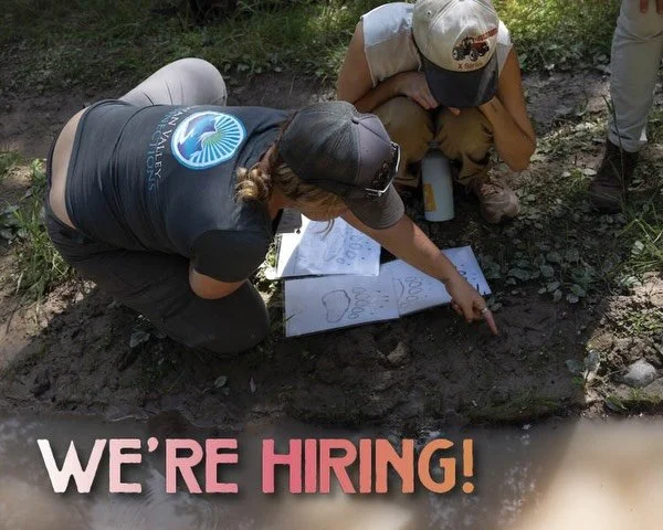 We&rsquo;re Hiring!

Join our team this summer as a Resident Education Assistant (REA).

The REA will act as a teacher&rsquo;s aid in both the classroom and the field for our Wildlife in the West and Summer Wildlife Tracks and Sign college field prog