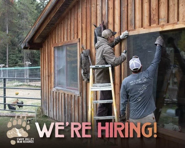 Are you passionate about human-wildlife coexistence? 

We&rsquo;re eager to welcome a full-time, year-round Bear Conflict Prevention Coordinator to our team. The right candidate will play a critical role in promoting human-bear coexistence strategies