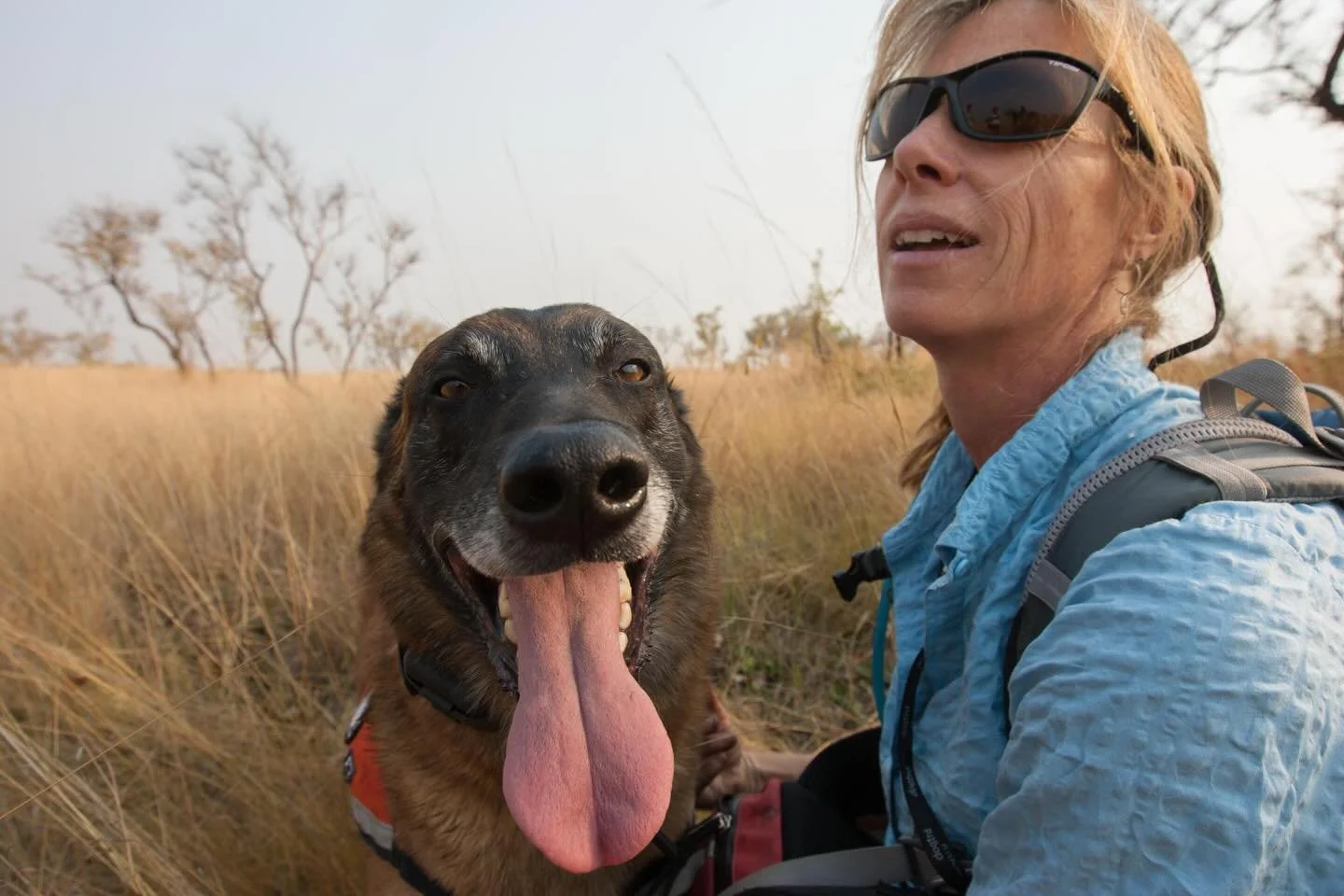 Local folks- we hope you&rsquo;ll join us this Wednesday for our first community potluck &amp; presentation of the year!

Megan Parker will be sharing how &ldquo;dogs make scents of the world.&rdquo; She has helped develop training methods and deploy