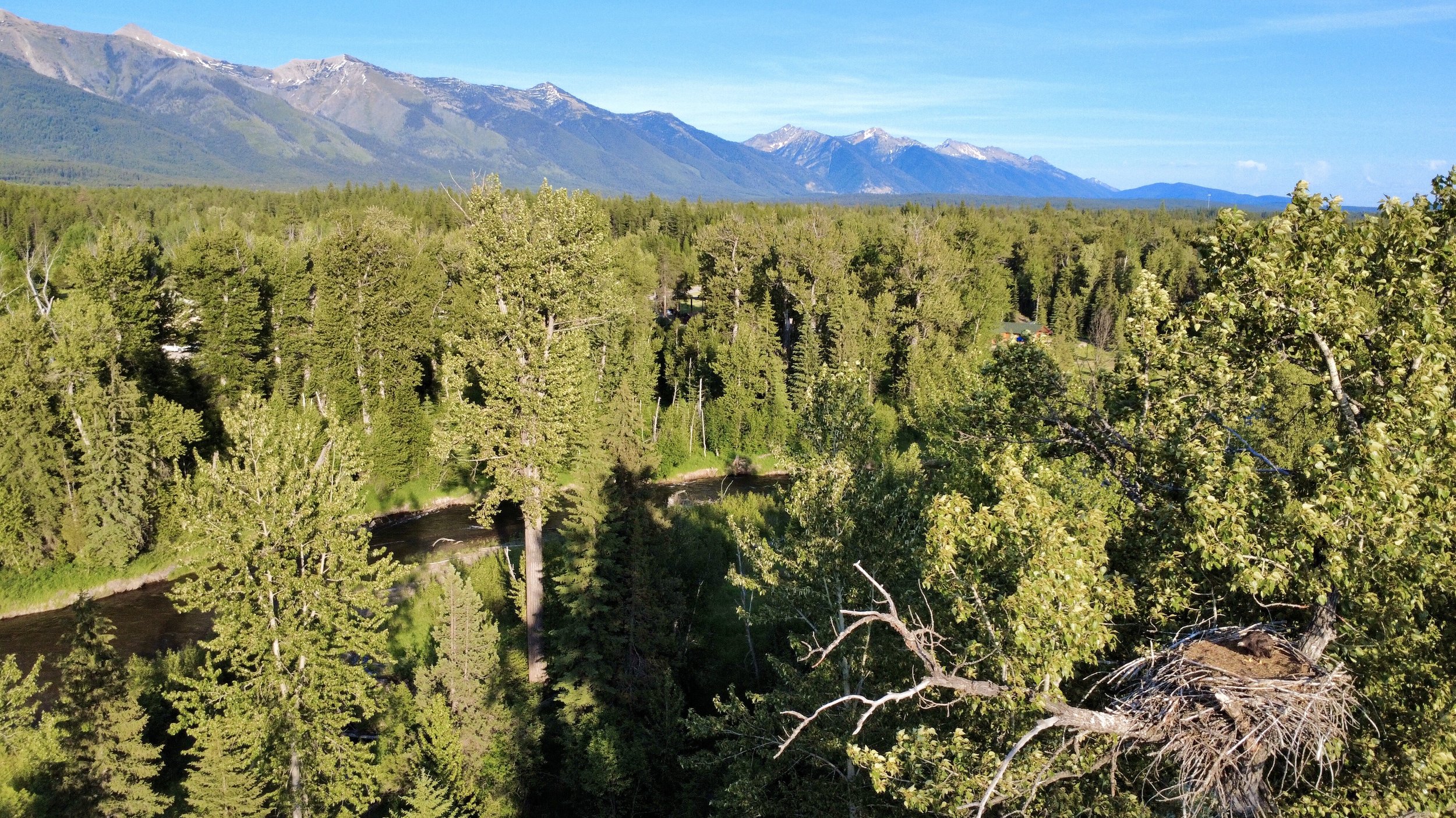 River House Celebration & Donor Thank-you 