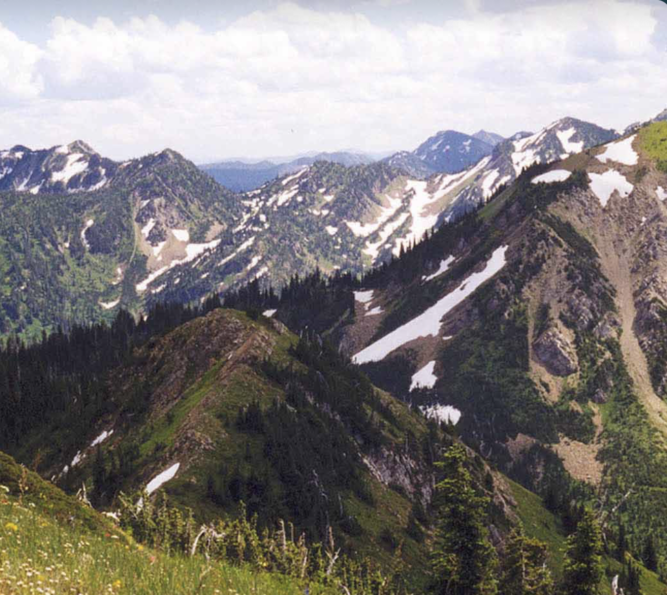 Jewel Basin Naturalist Hike