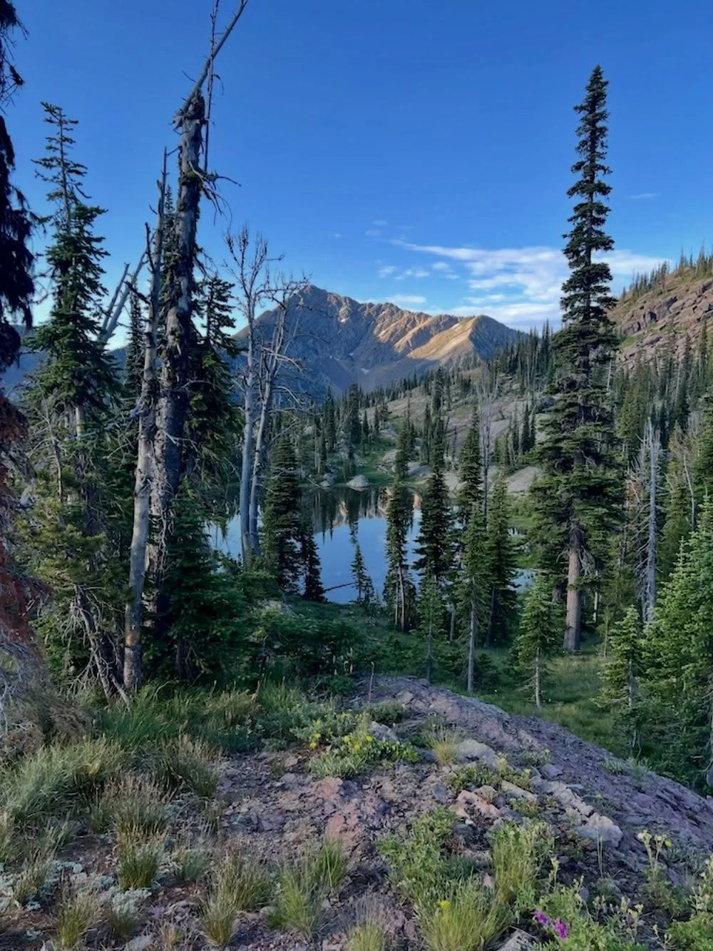 Caching in on Cohesion

&ldquo;When a friend suggested the backcountry Master Naturalist course through Swan Valley Connections years ago, I couldn&rsquo;t resist. I was an avid day hiker but had not experienced overnights in the backcountry. Backpac