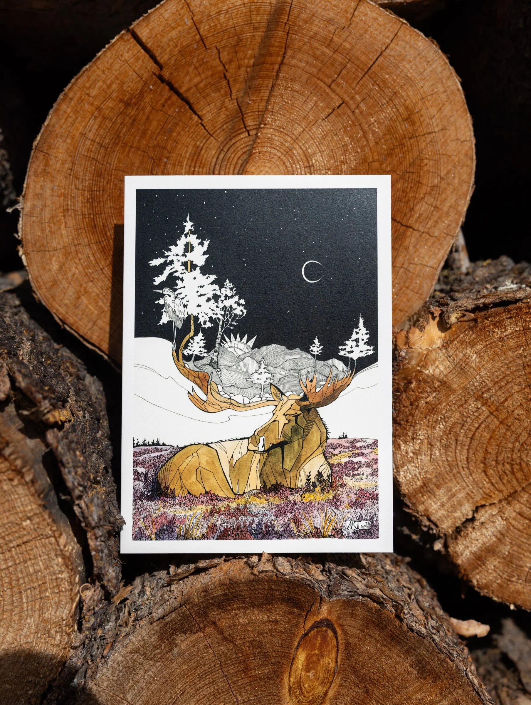 NEW artist in the visitor center &amp; online shop - @mattierosetempleton 

Mattie Rose&rsquo;s designs are inspired by the natural world and our connection to it. A self-taught artist, she uses an &ldquo;old fashioned&rdquo; ink well with various-si