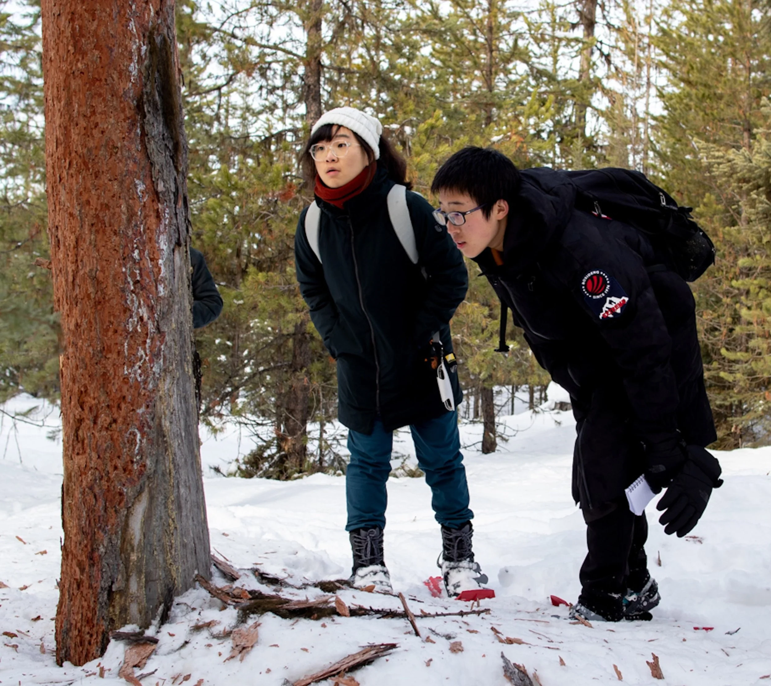 &ldquo;Joy initially taught herself tracking through books and field guides. But she wanted hands-on experience and the opportunity to learn alongside other people. That search eventually led her to SVC while she was in the U.S. studying at the Schoo