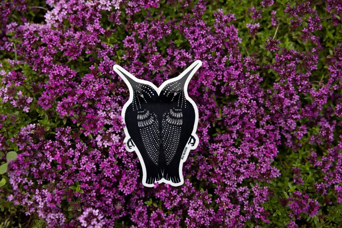 Wild Valentine  Twin Hummingbirds Sticker